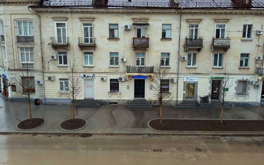  Фото: Елизавета Лукашина