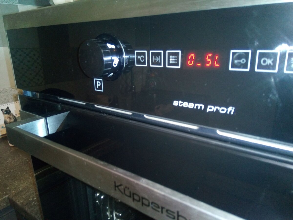 Встроенная пароварка Kuppersbusch не работает парогенератор