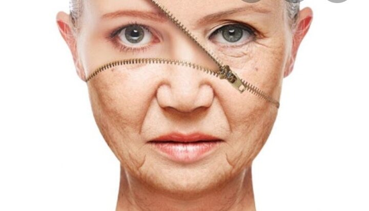 Картинка взята из свободных источников сети интернет 