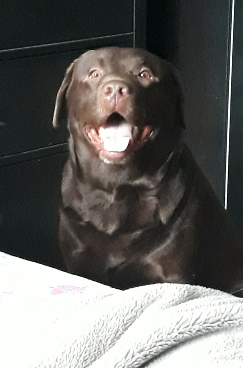 Сначала пришел Ганя