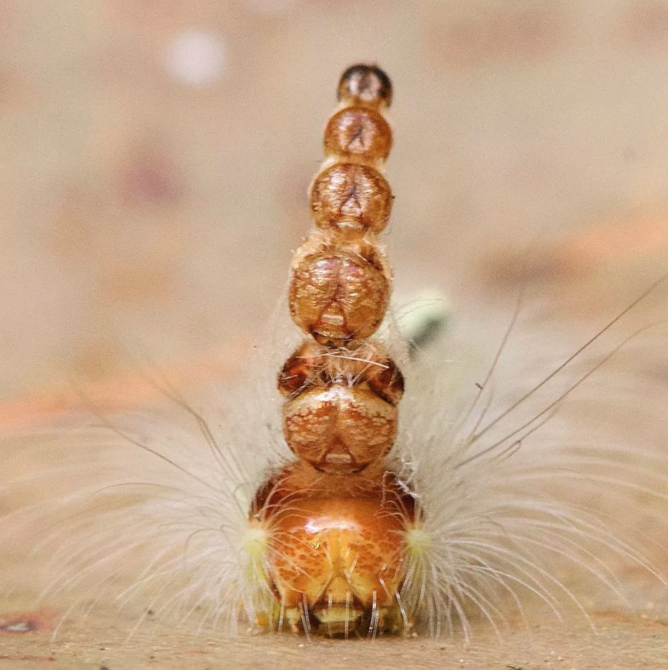 взято с сервиса Яндекс Картинки
