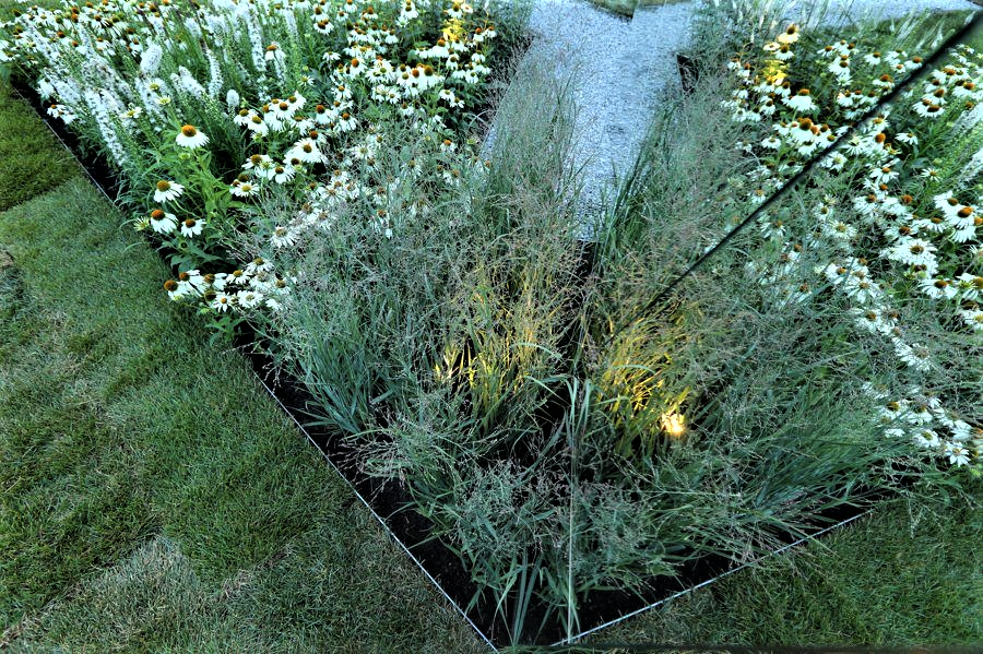 Так простой цветник увеличивается в размерах до луга.