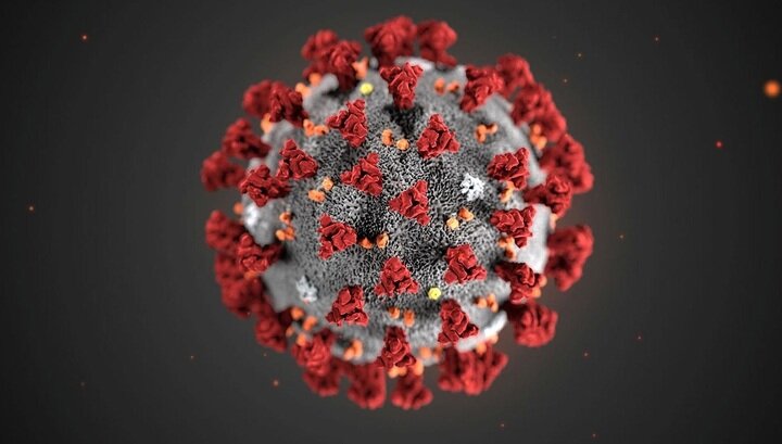 Фото предоставлено сайтом: http://streamers-news.ru/koronavirus-i-kibersport-spisok-otme/