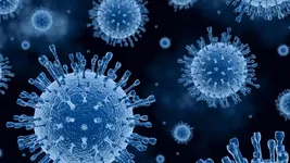 Фото из интенета