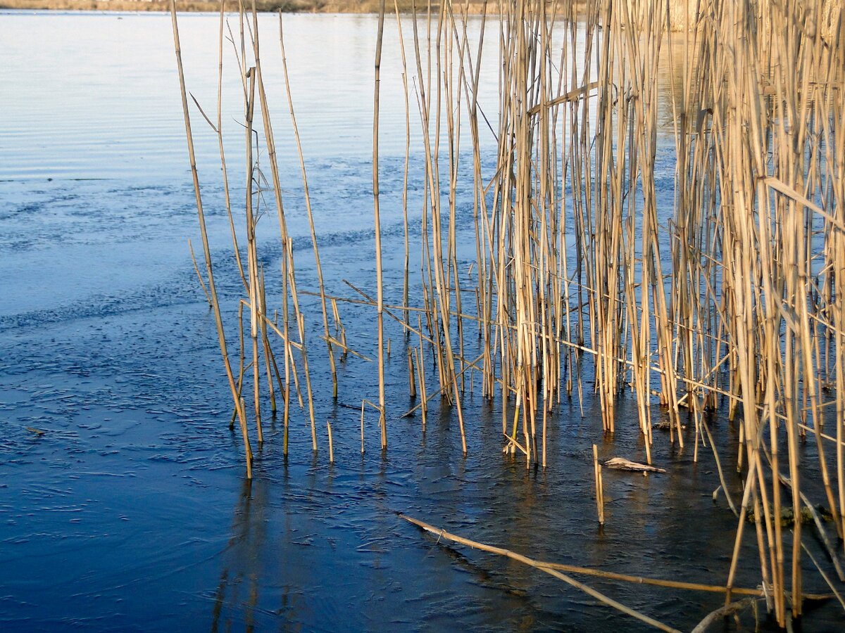 Вот так вот с утра встретил берег