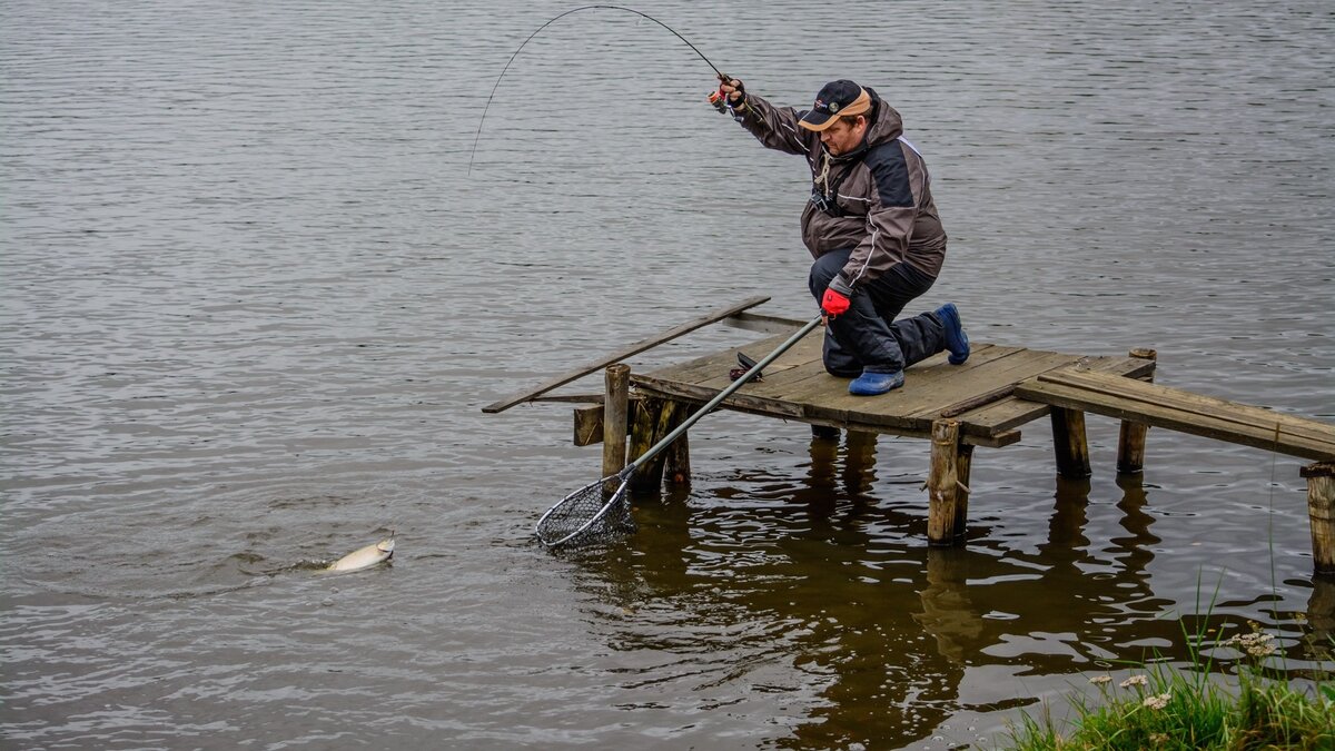 Рыбалка на бесплатных прудах 