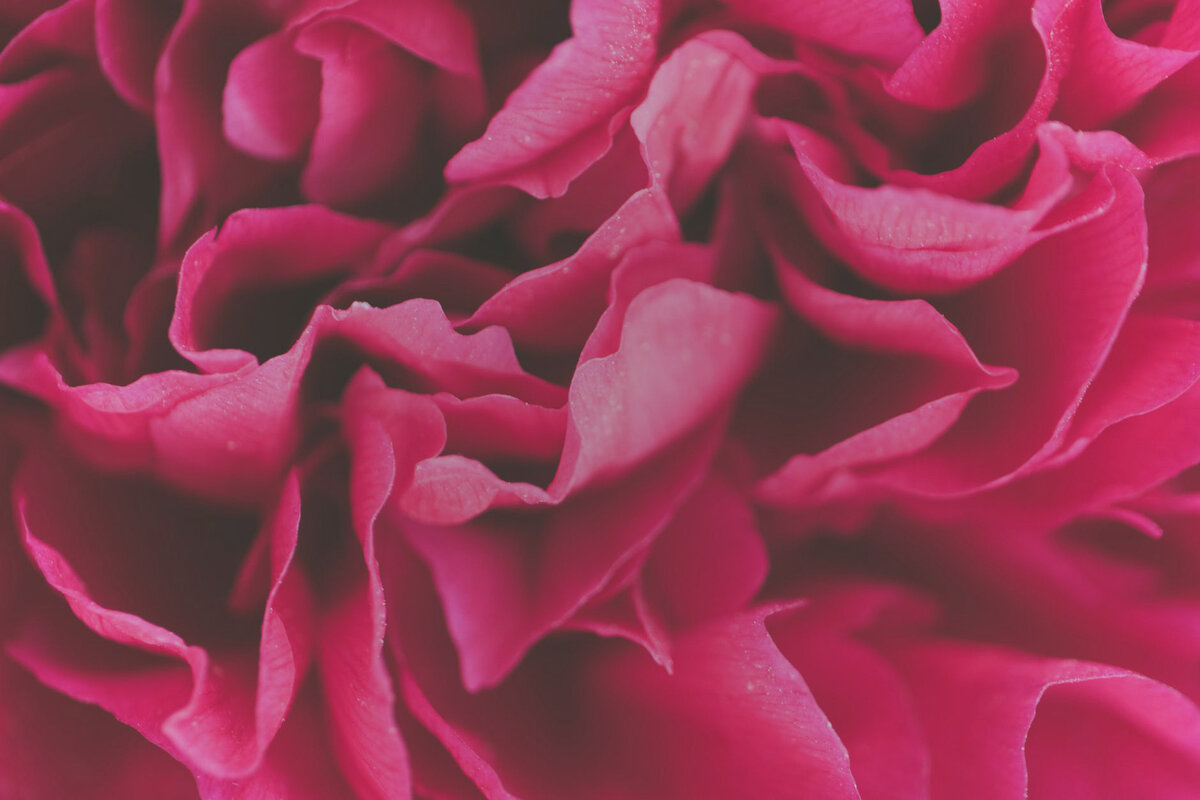https://www.pexels.com/ru-ru/photo/1118415/