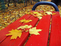 Возле деревьев