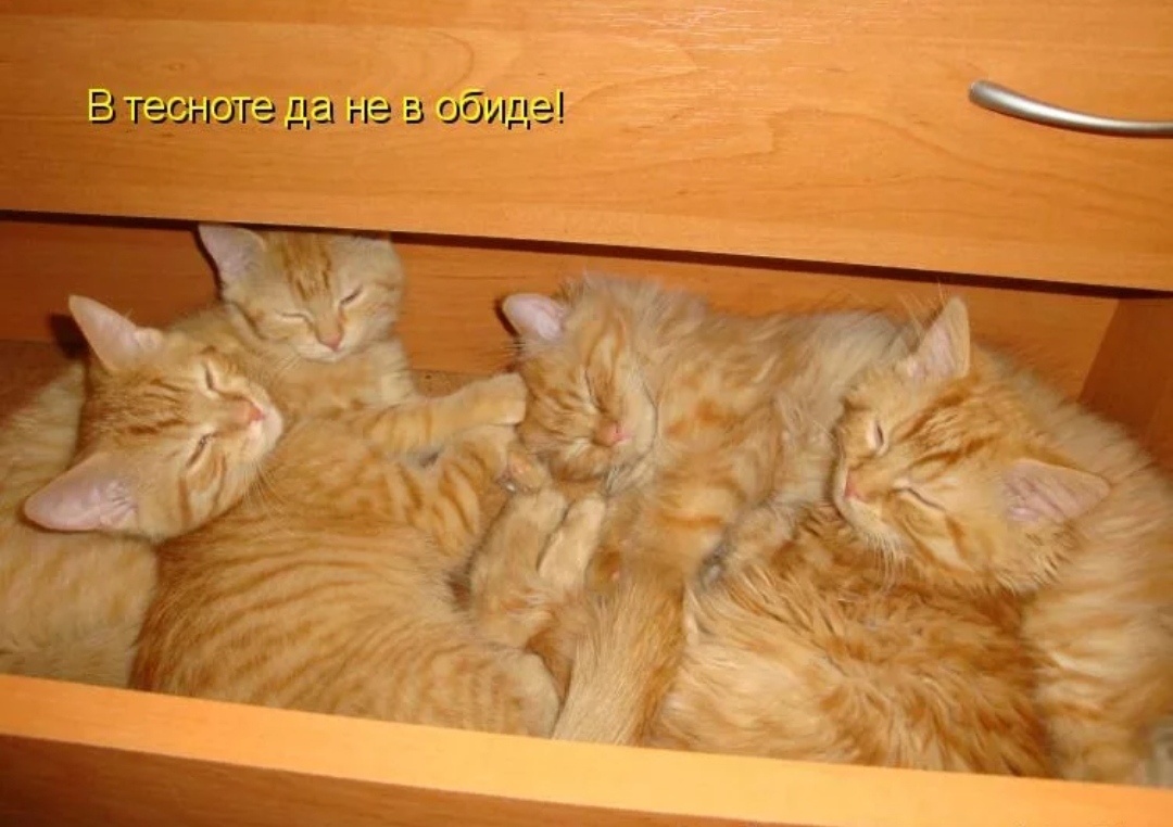 Живём мы сейчас почти вот так) 