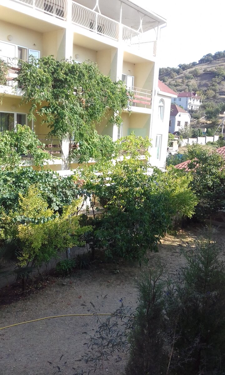 Вот такая частная гостиница.