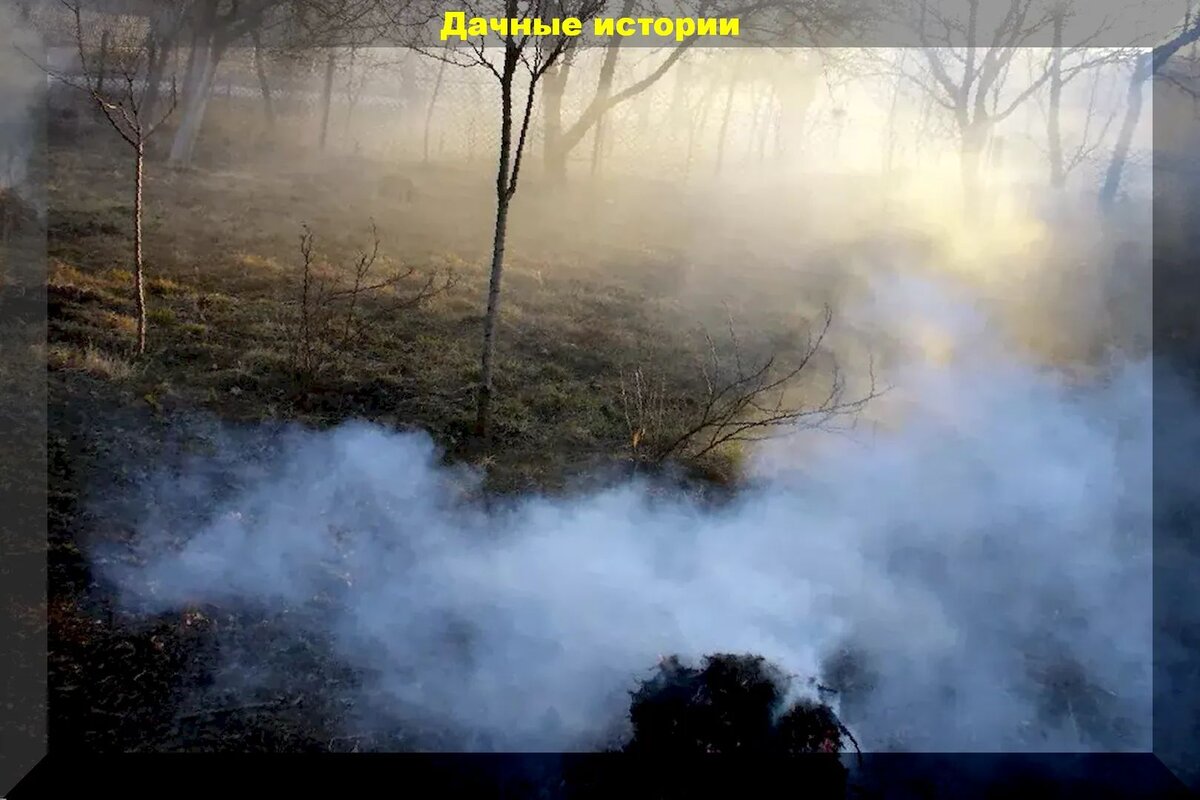 https://vk.com/photo-159774511_457243735