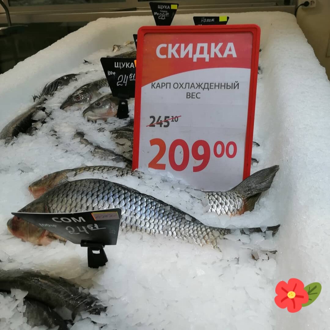Почему рыбу едят на газете. Дорогая рыба в россии. Почему рыба дороже мяса. Рыба в российских магазинах. Мороженая рыба ашан.