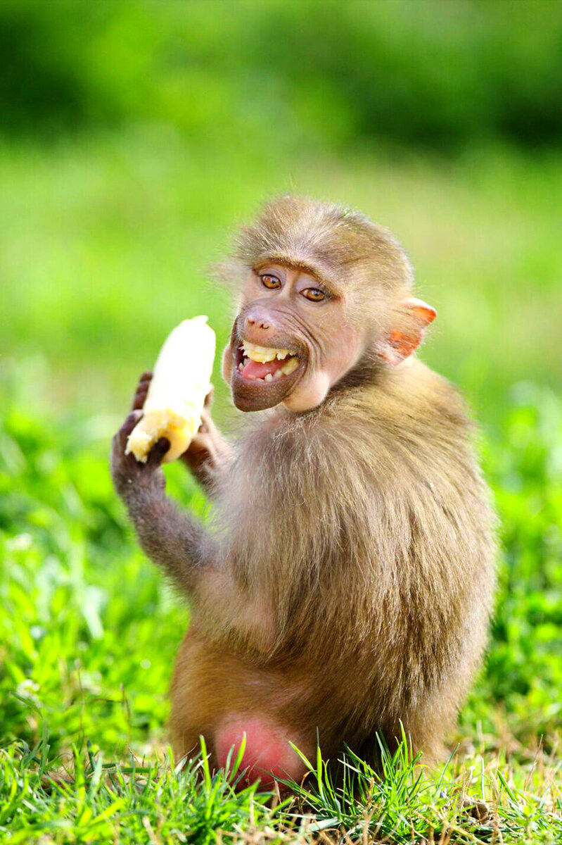 Фото из свободного доступа. Для поднятия настроения)