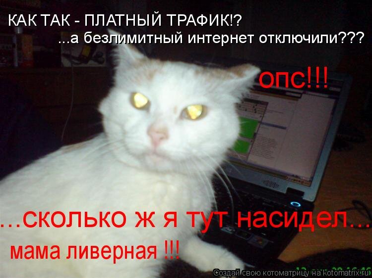 Фото из открытого источника