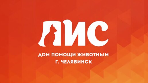 Северный лис дзен навигация по каналу
