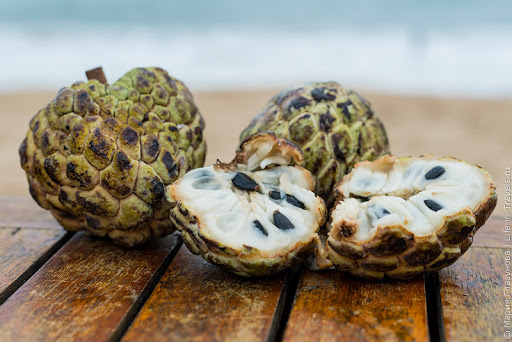 тайское сахарное яблоко