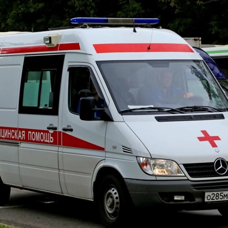 Фото не моё - иллюстративное из открытых источников