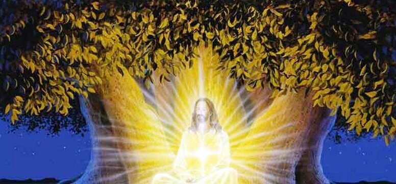 фото взято с просторов интернета, благодарю автора за снимок