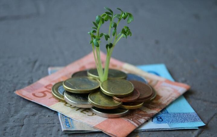 Фото: открытые источники