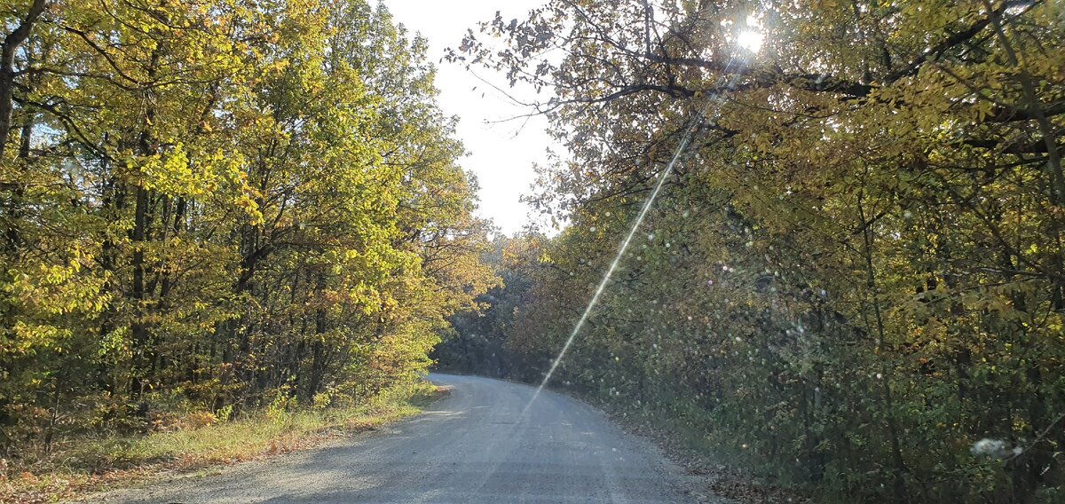 Дорога в посёлок Чибий