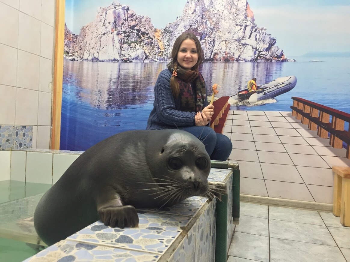 Нерпинарий в Иркутске