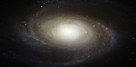 Спиралевидные