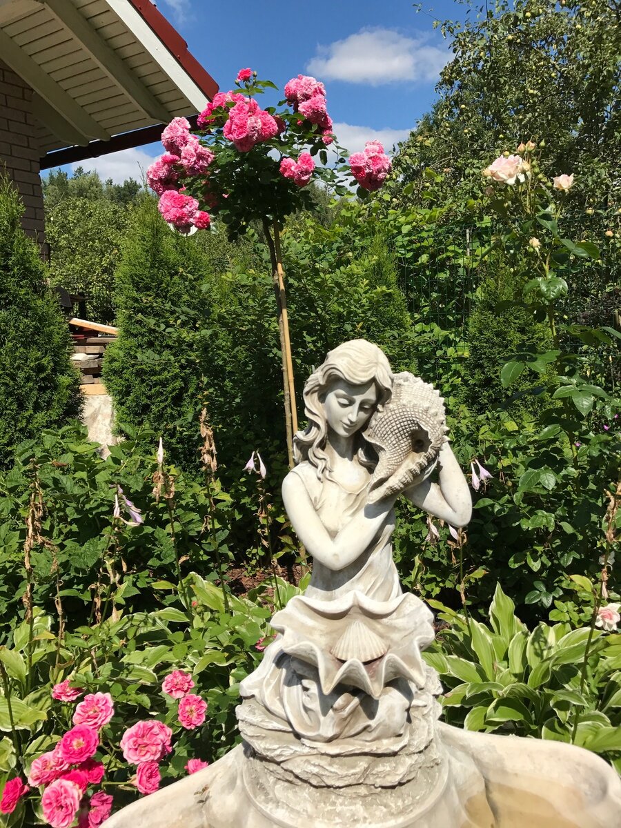 Красота на даче