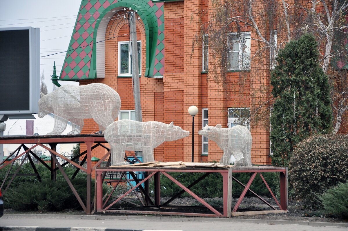 Белые медведи ночью светятся