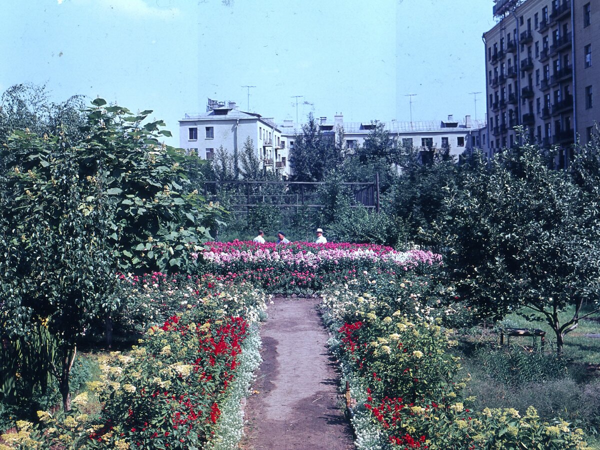 Уникальный сад во дворе дома в 3 км от Кремля: что о нем надо знать ...
