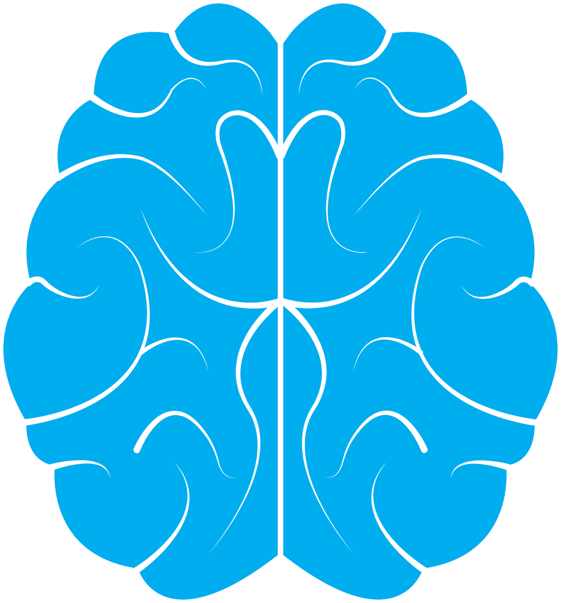 фото взято с Pixabay License