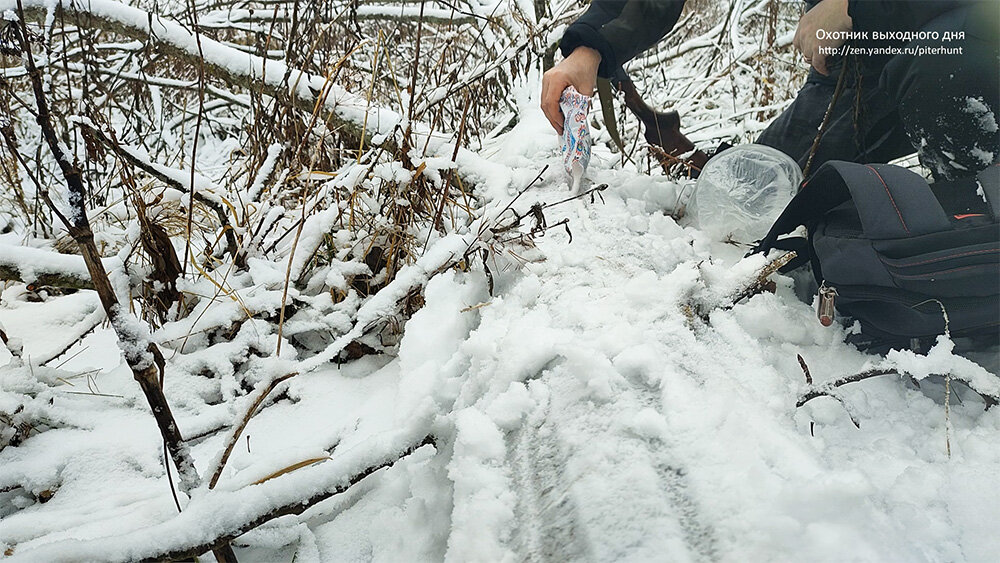 Обновляю солонцы на зайца.