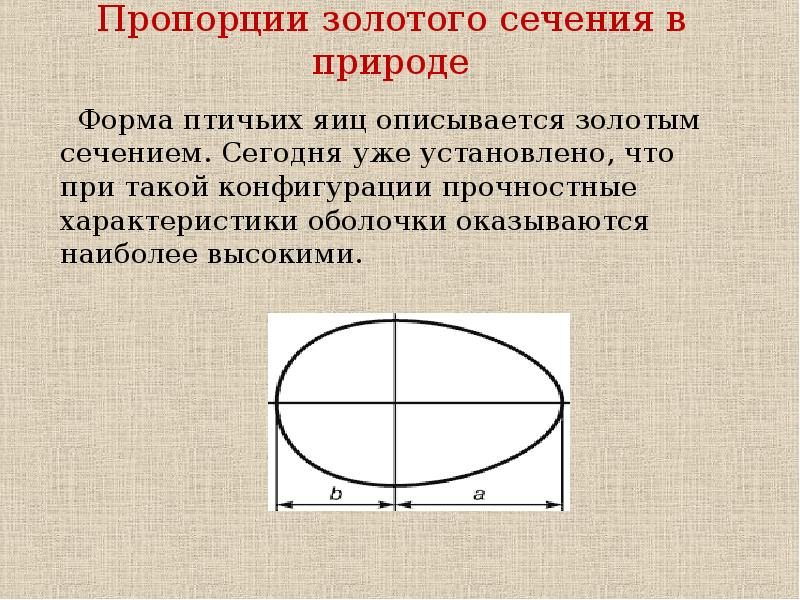 Золотое сечение Золотая пропорция. Пропорции золотого Сечени. Пропорции золотого сечения в природе. Золотое сечение в математике.