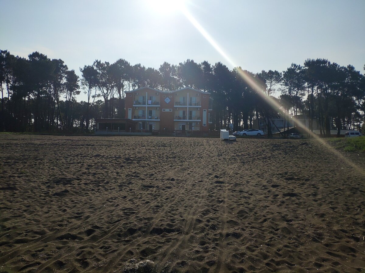 Гостевые дома в сосновом лесу, Уреки, Грузия