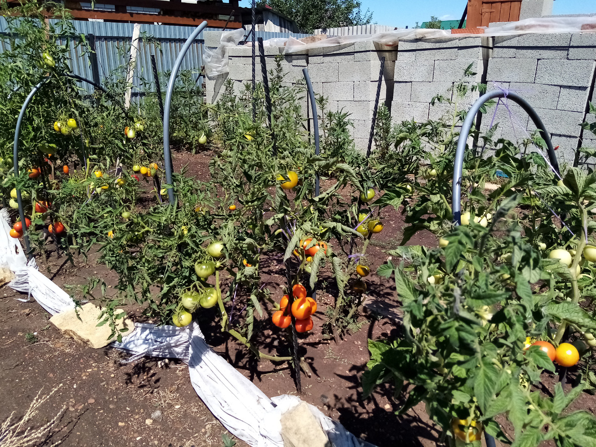 Добавьте описаниса