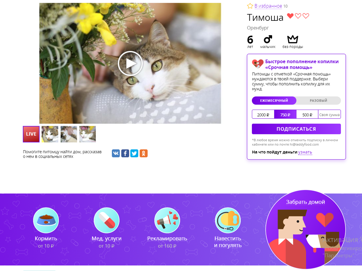 Преимущество проекта в том, что тут вы можете оказывать помощь адресно: выбрать одного или нескольких питомцев в разных приютах и переводить деньги на их уход.