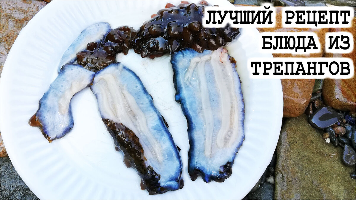 Сырой трепанг самый полезный