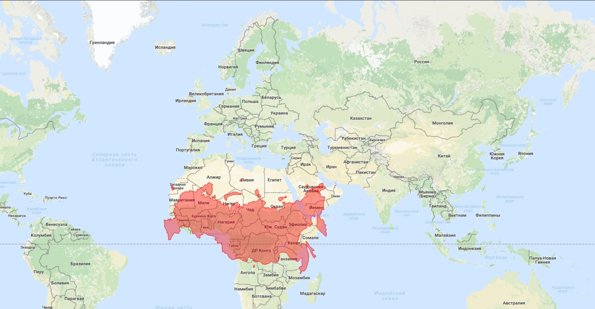 Карта другого государства. Сравнение России и Африки на карте. Площадь России и Африки в сравнении. Россия по сравнению с Африкой на карте. Россия на карте Африки.