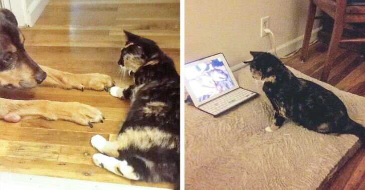 © onedaythiswillbeyours / Imgur