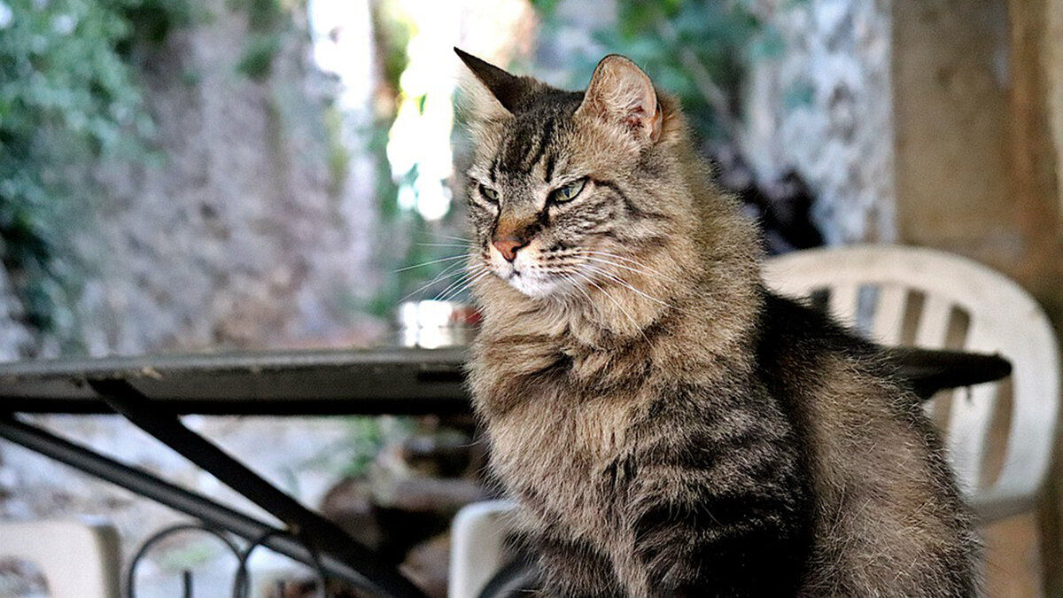 источник фото: namesfx.com