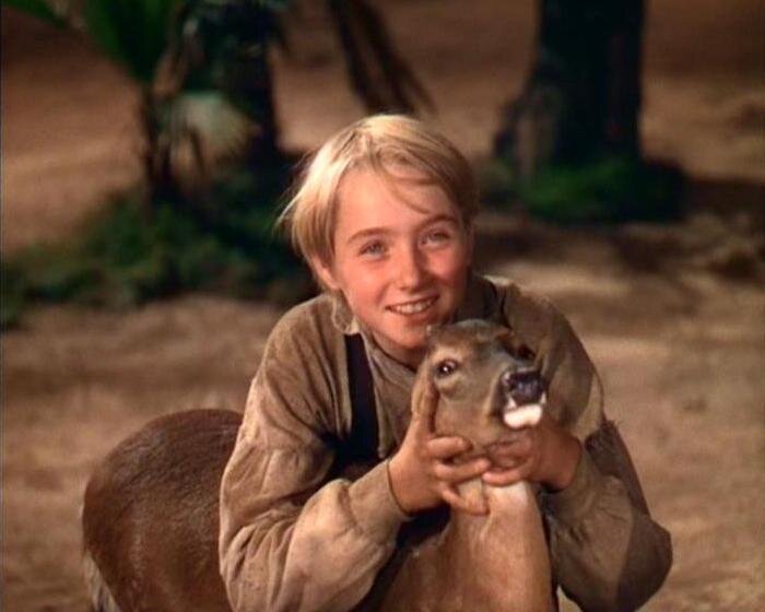 Джоди и его лучший друг Флаг