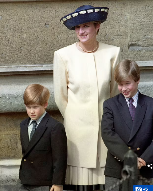 Симпатичные какие.