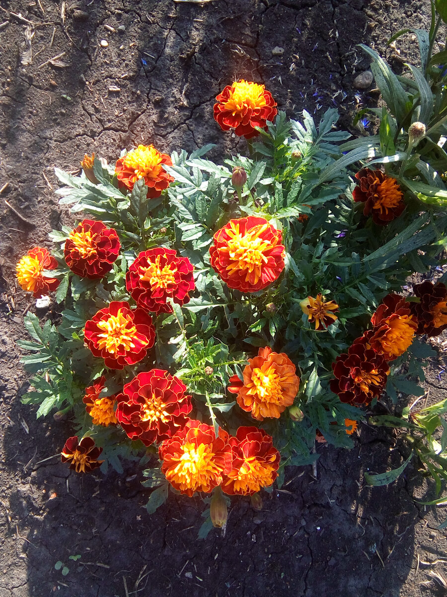 Фото автора канала