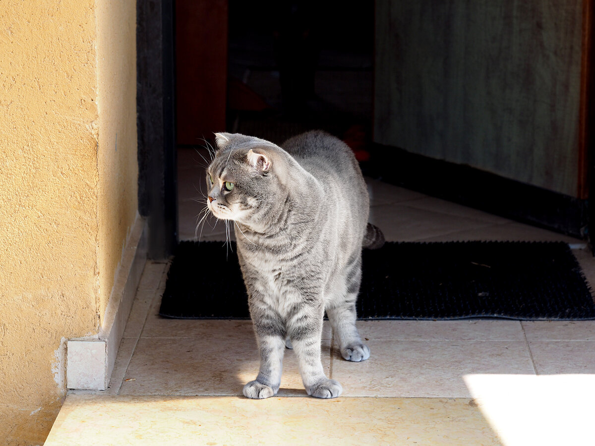 Фото автора