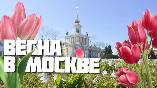 Где погулять с любимыми по весенней Москве и почему именно там