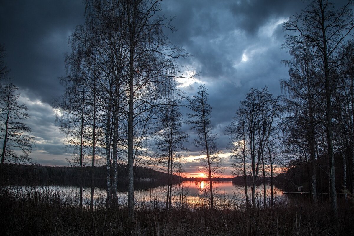 Фото с сайта Pixabay 