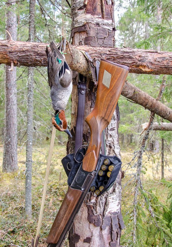 Фото из источников