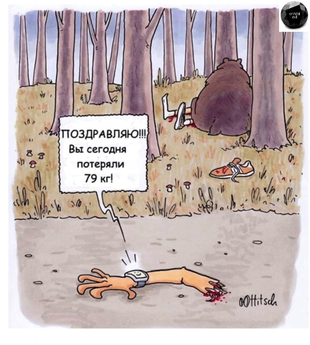 Яндекс Картинки