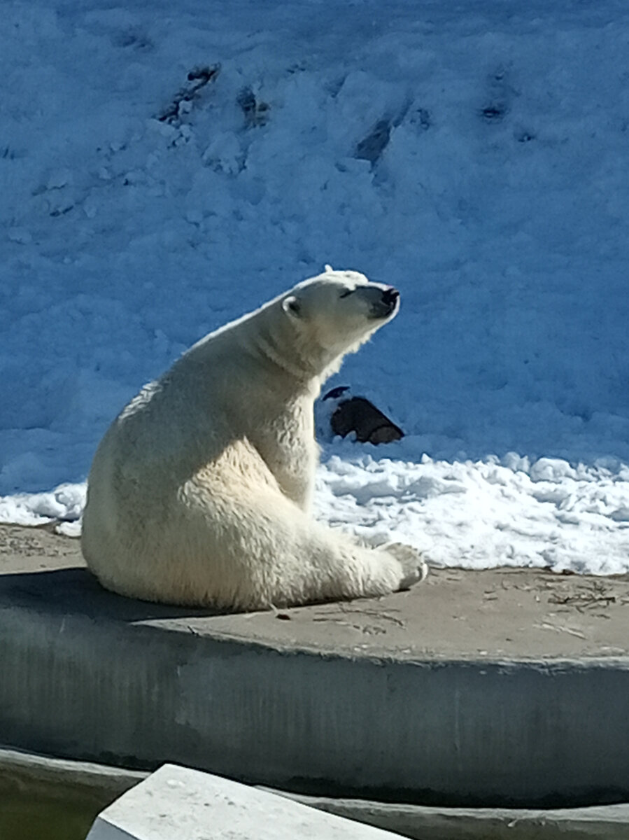 Фото автора. Ну красавец же!
