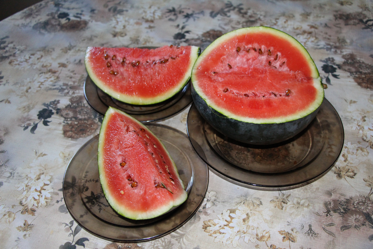 Арбуз. Сорт Бэйби. 