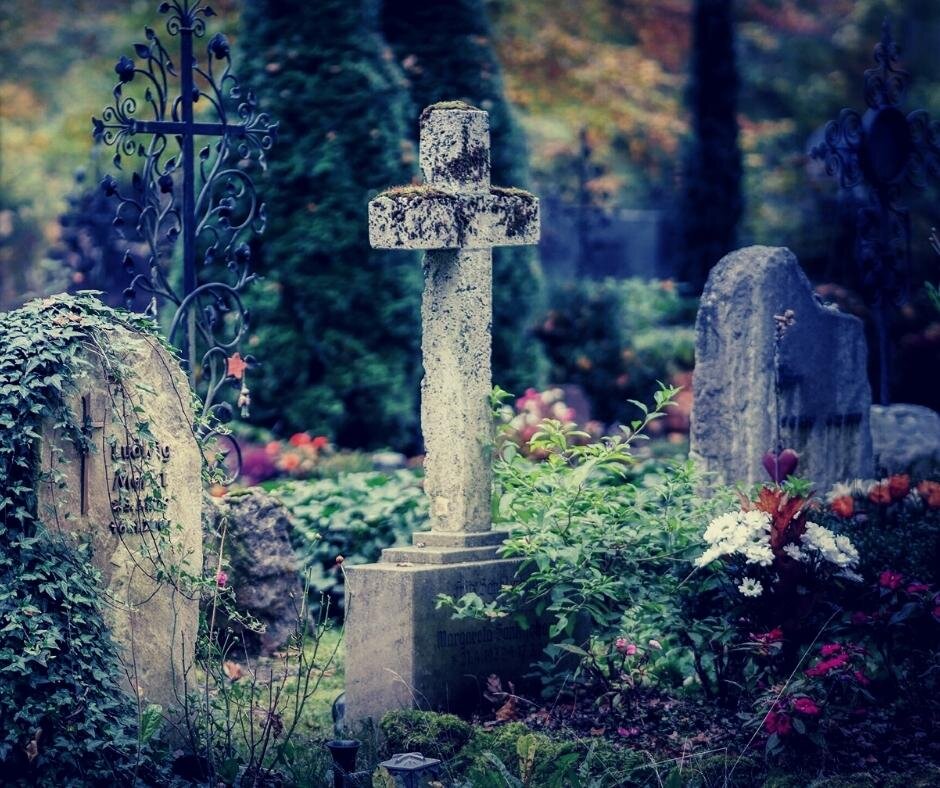 Источник фото - https://clck.ru/ptujg